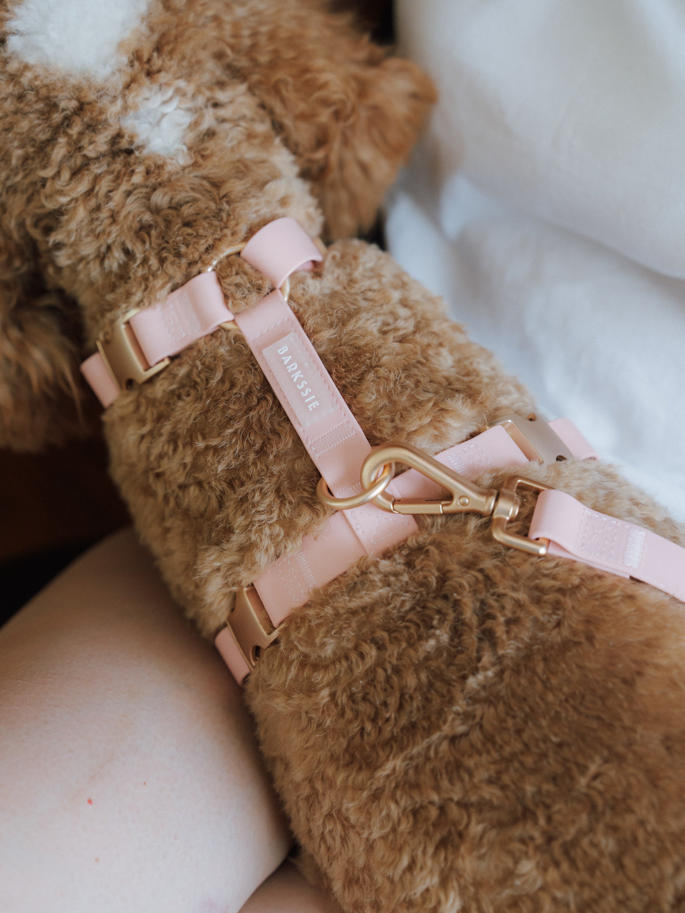 Easy-On Dog Harness - Blush