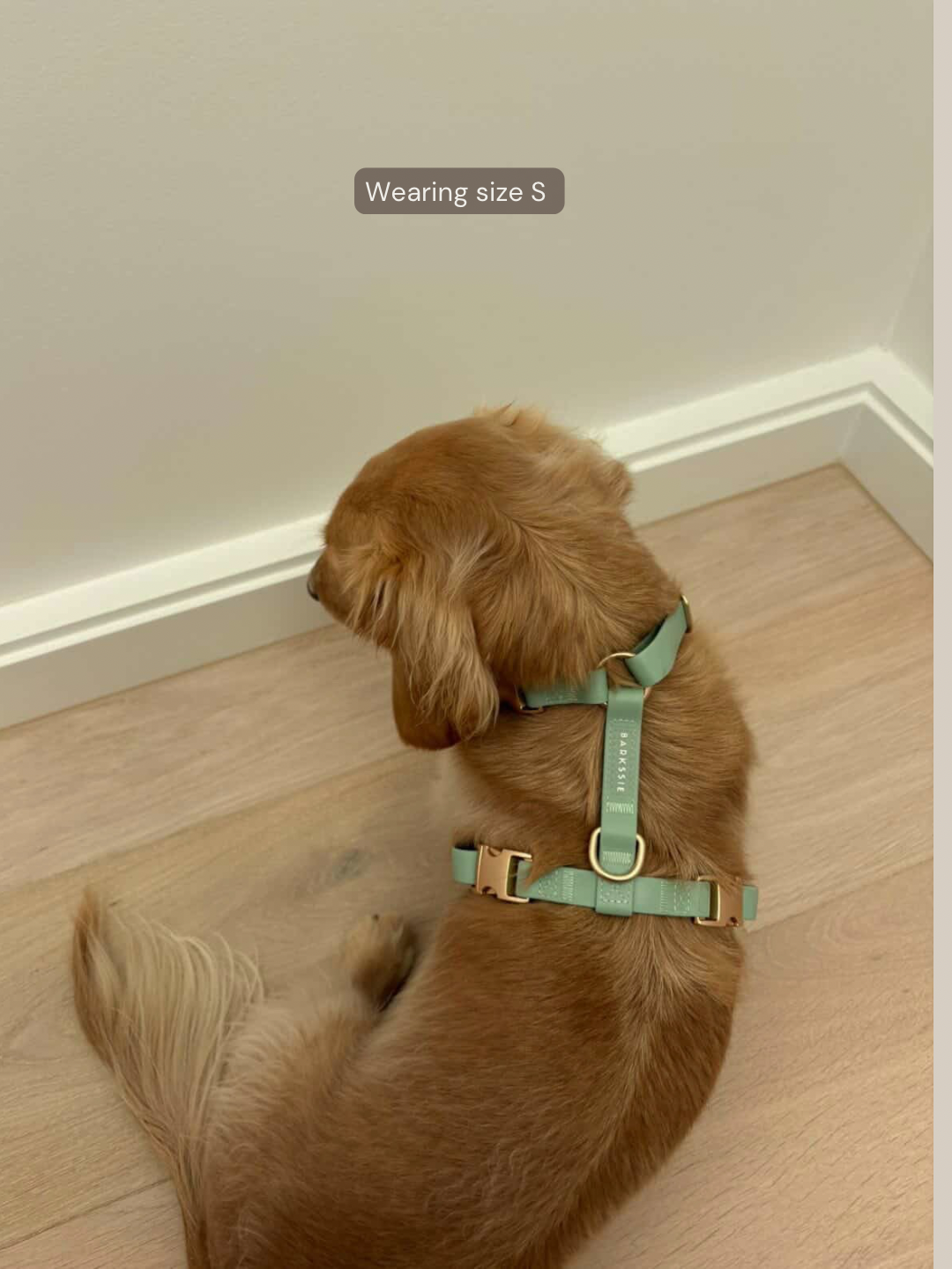 Easy-On Dog Harness - Matcha