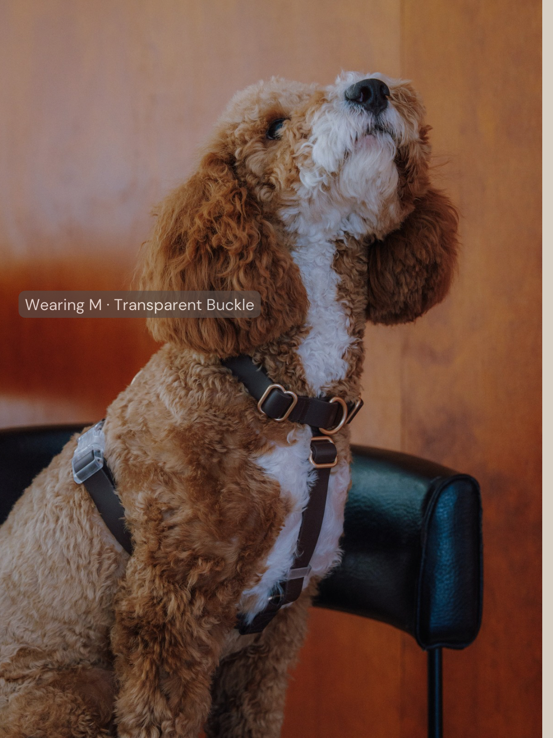 Easy-On Dog Harness - Coffee