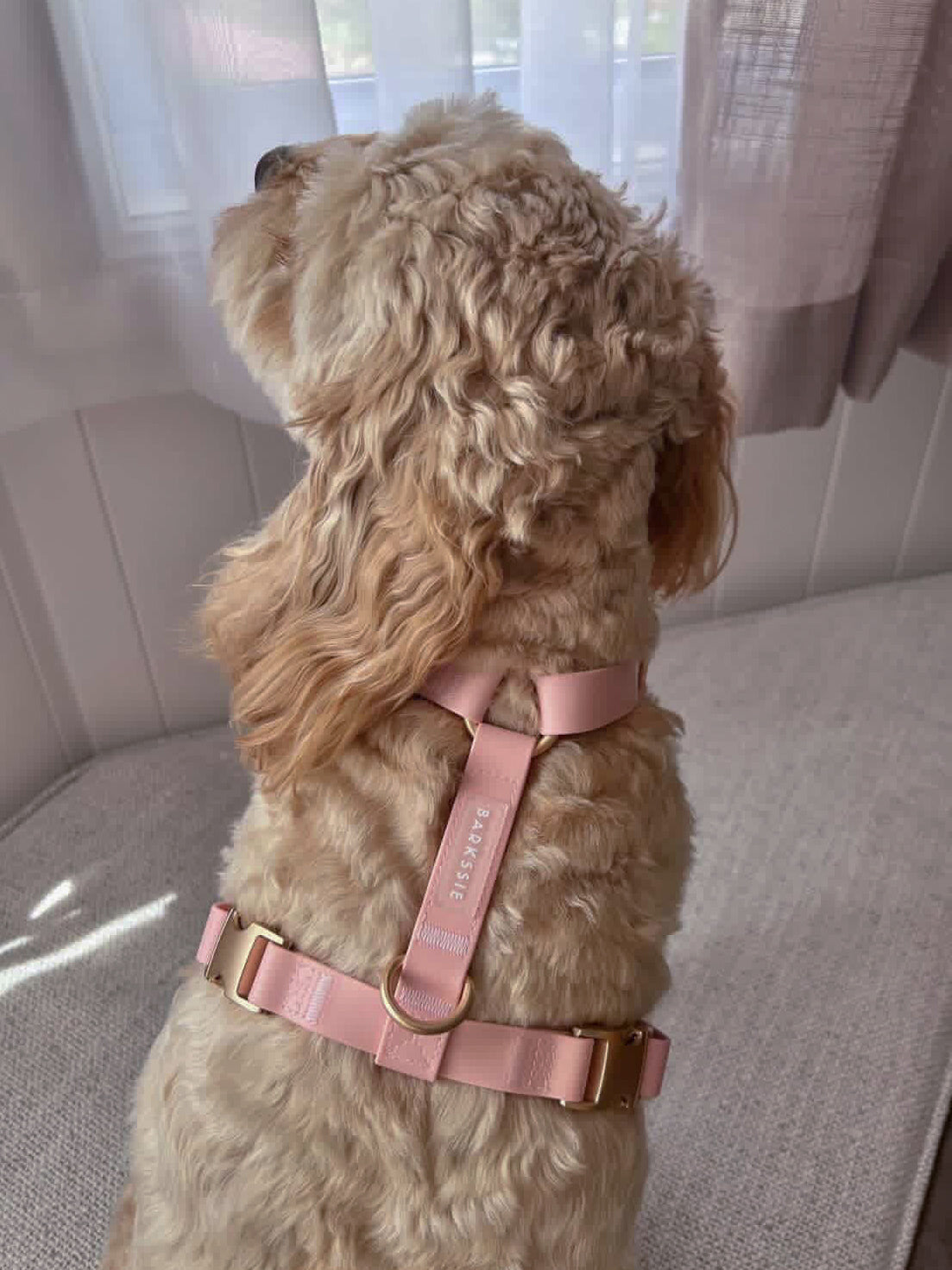 Easy-On Dog Harness - Blush