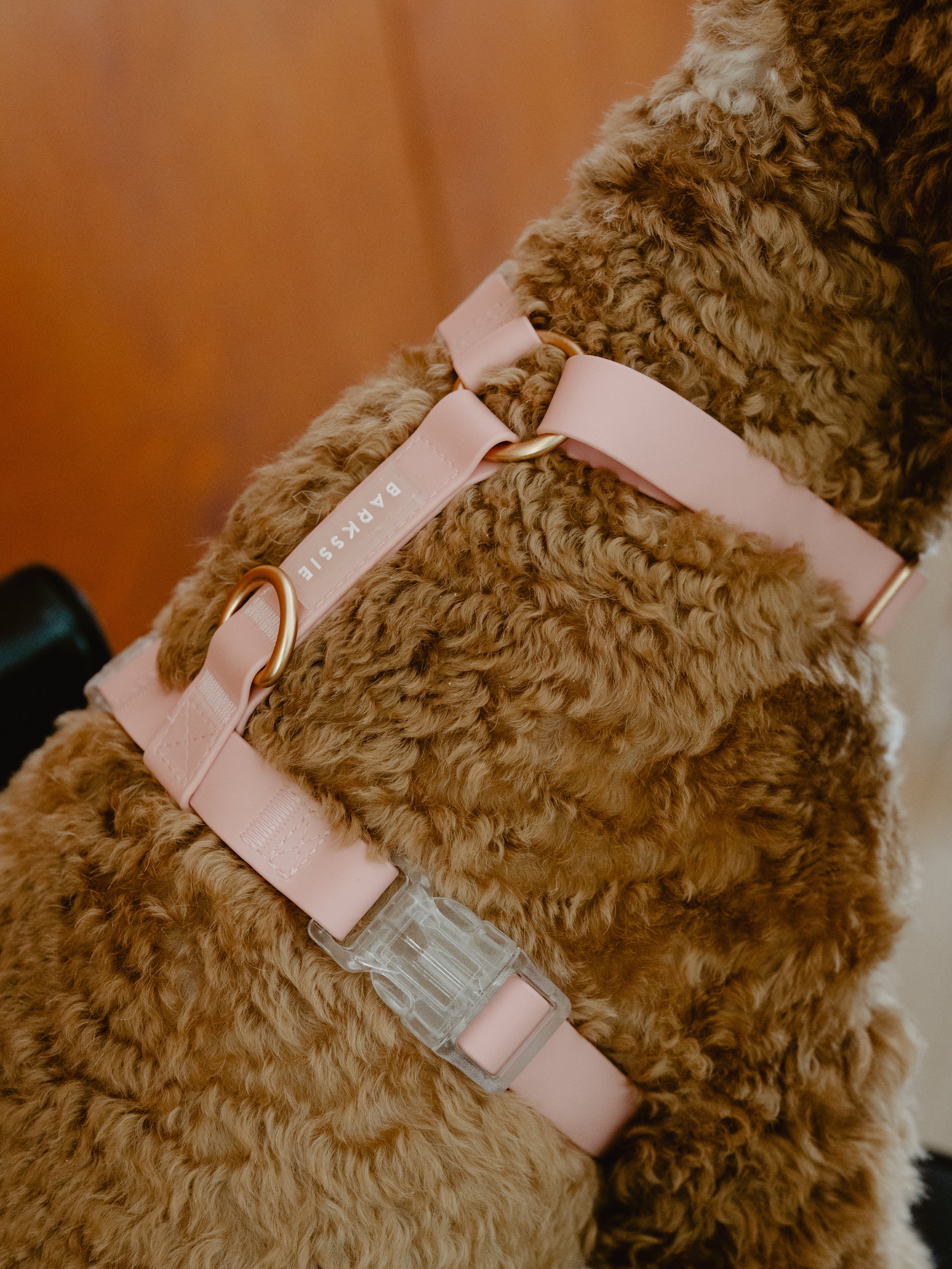 Easy-On Dog Harness - Blush