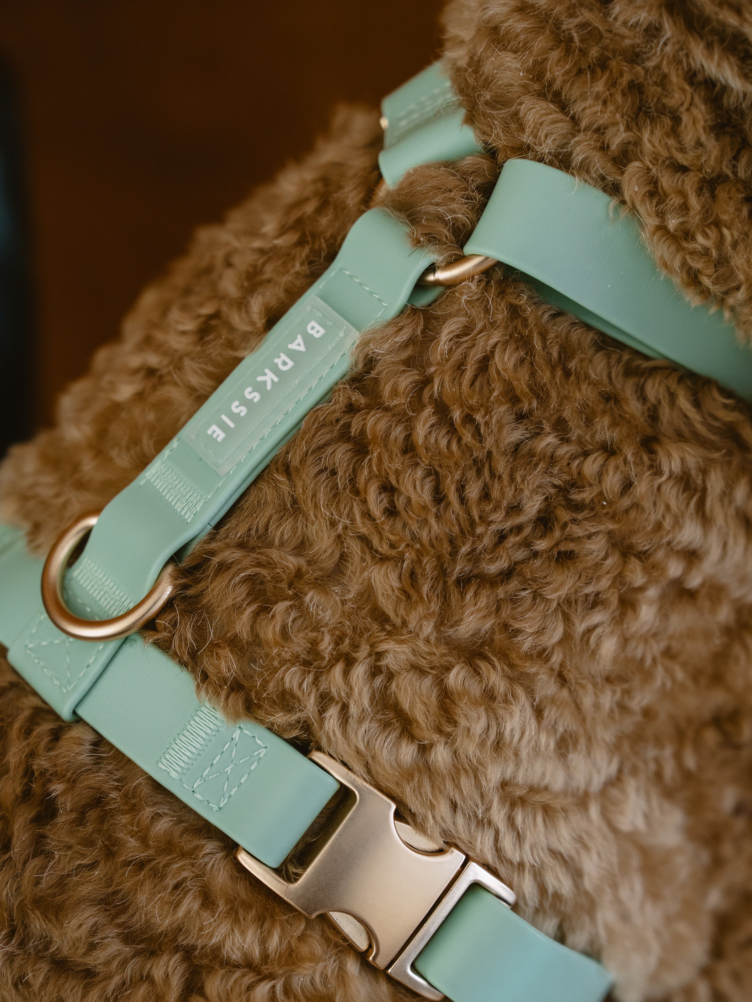 Easy-On Dog Harness - Matcha