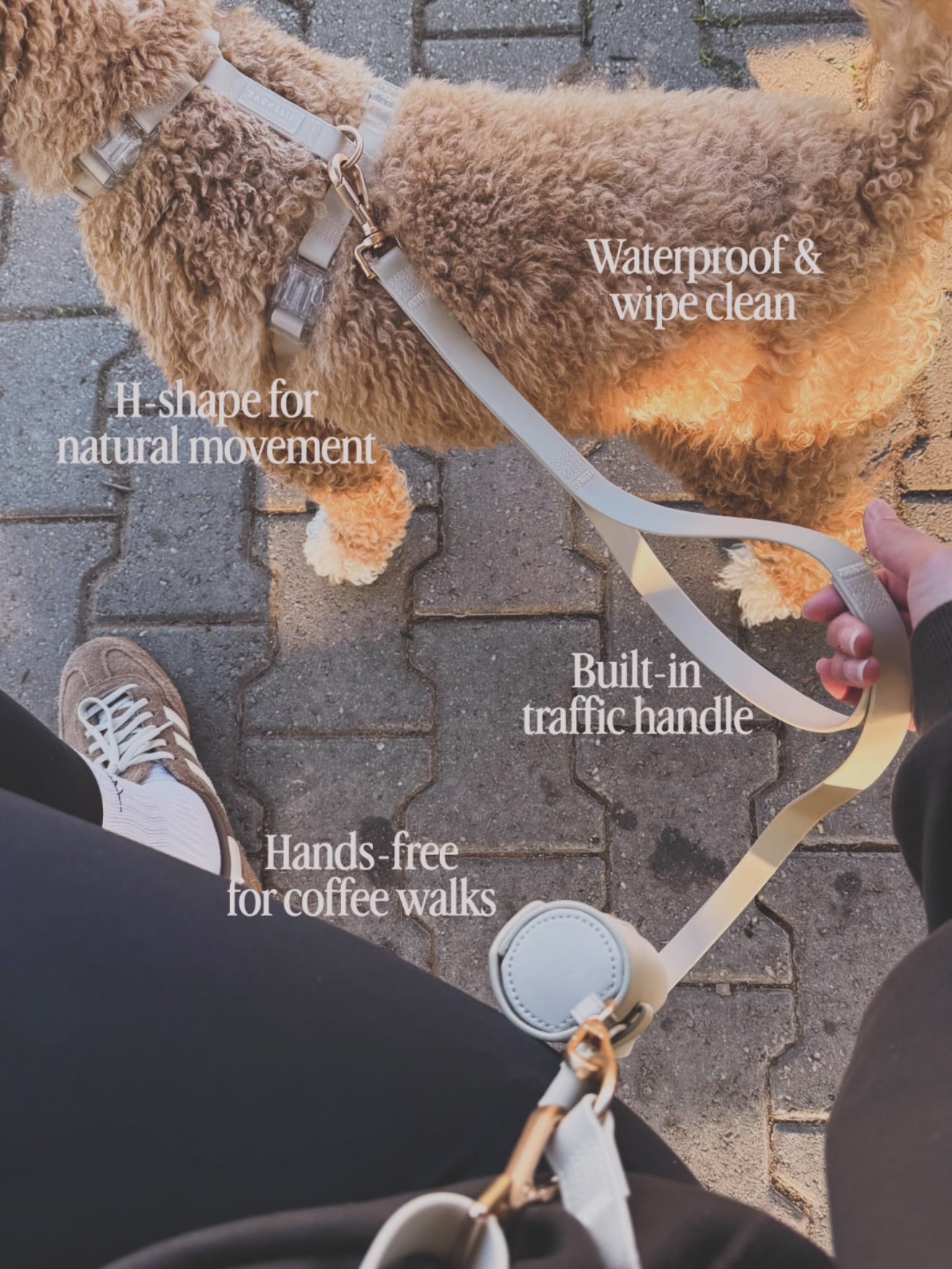 Waterproof Harness Walking Set