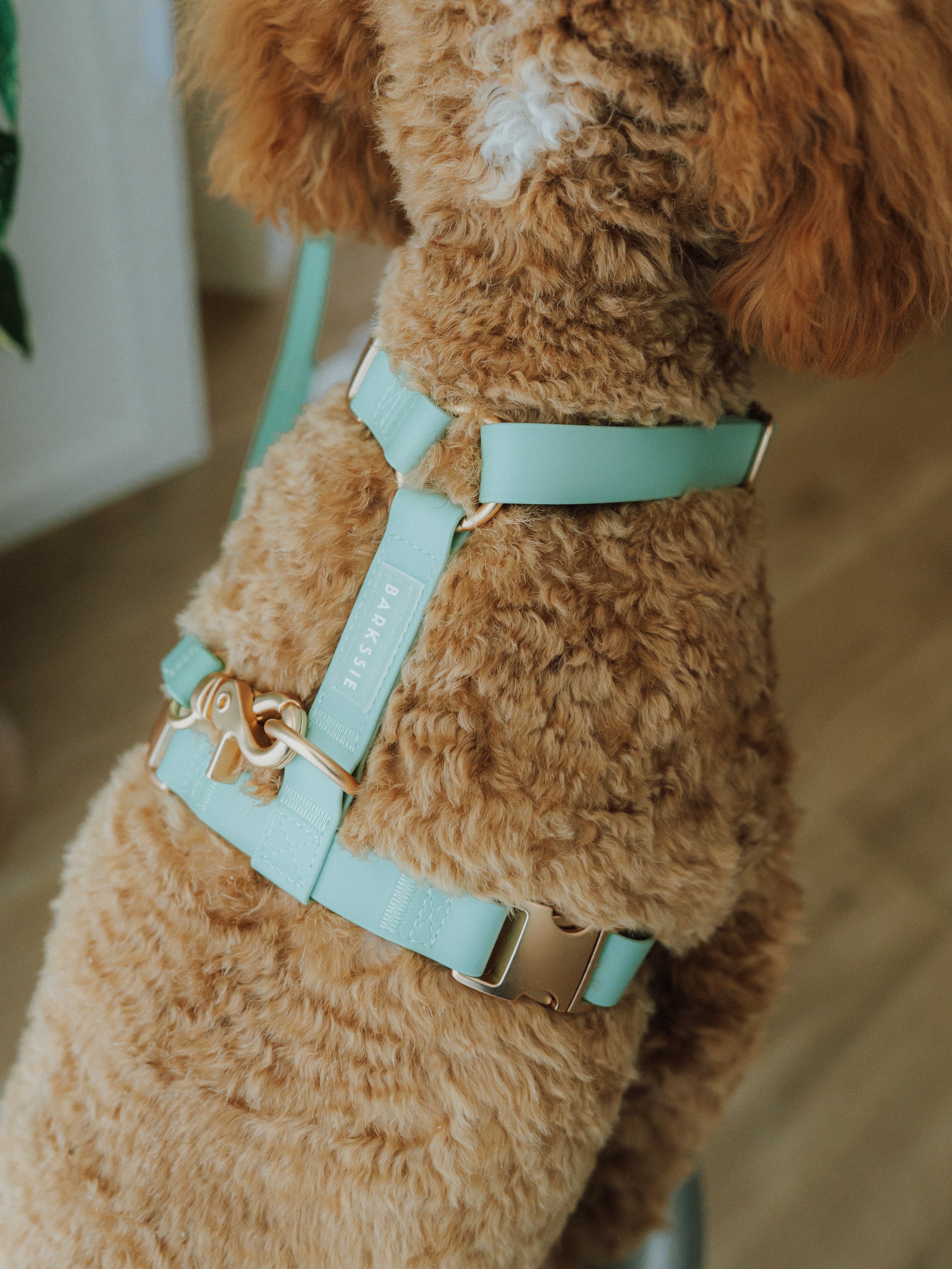 Easy-On Dog Harness - Matcha