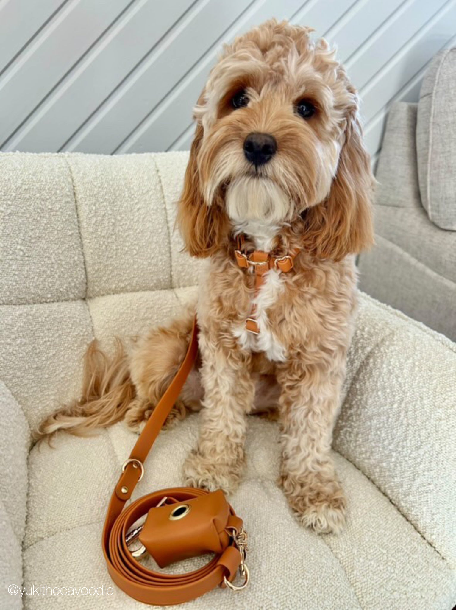 Vegan Waterproof Harness Bundle- Brown