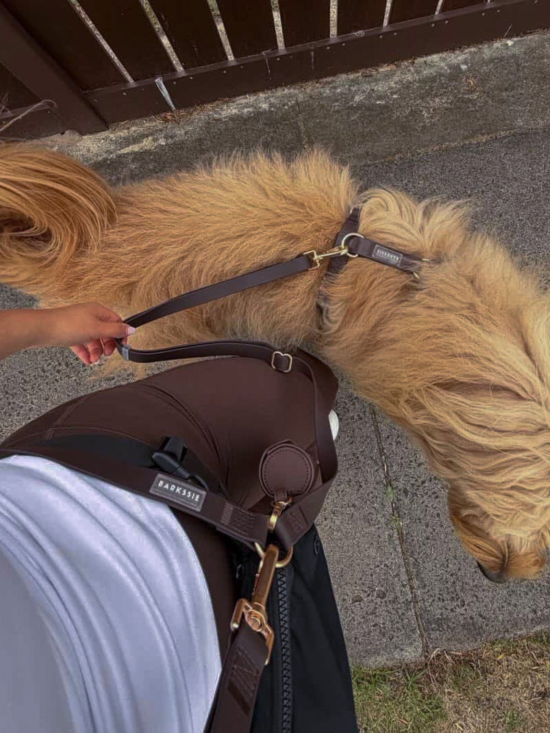 Waterproof Harness Walking Set
