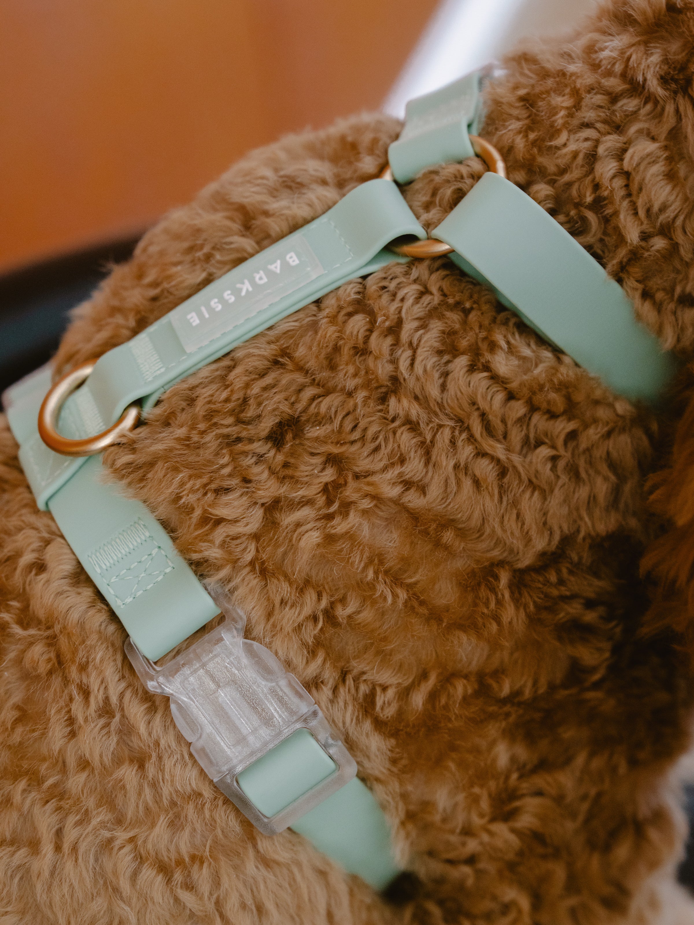 Easy-On Dog Harness - Matcha