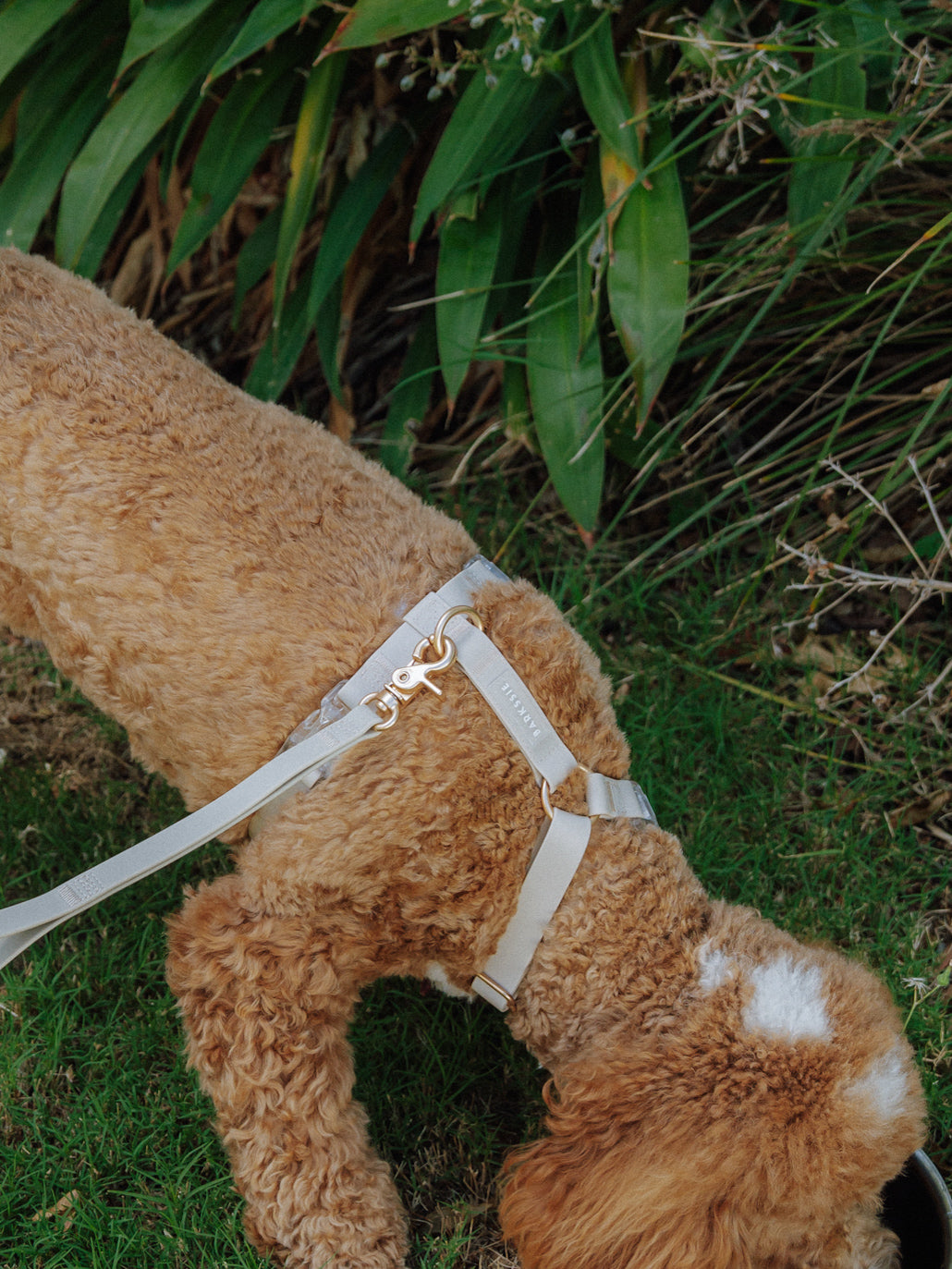 Easy-On Dog Harness - Taupe