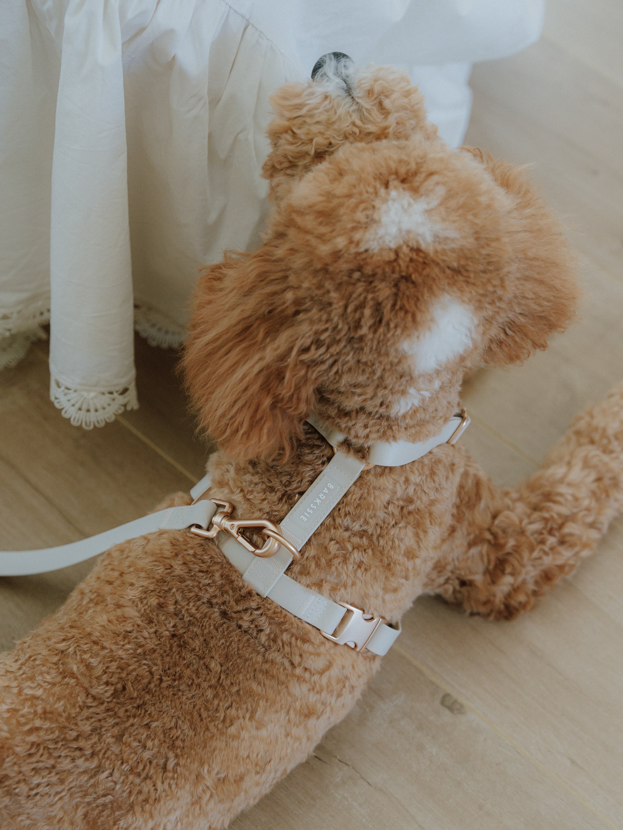 Easy-On Dog Harness - Taupe