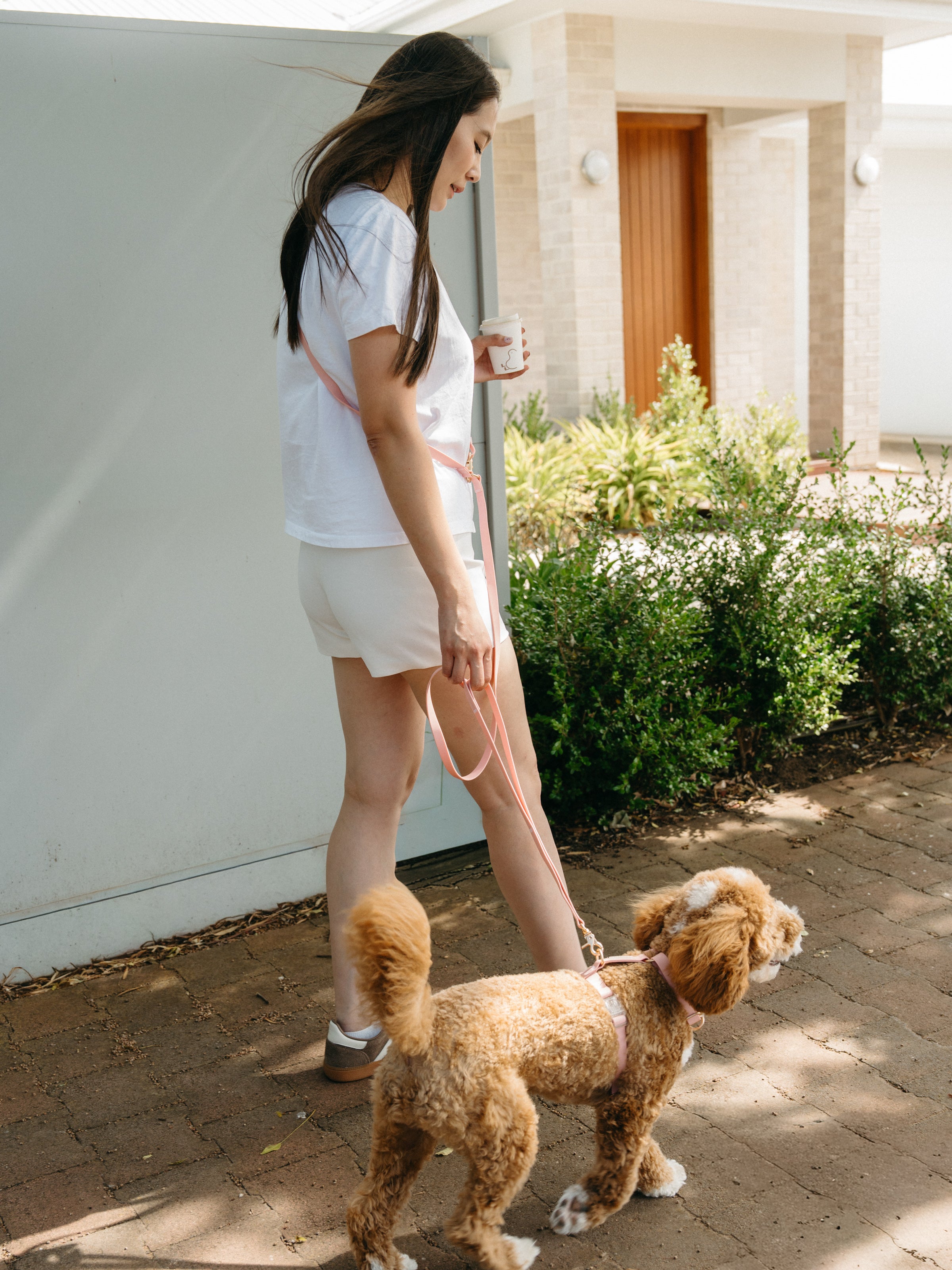 Easy-On Dog Harness - Blush