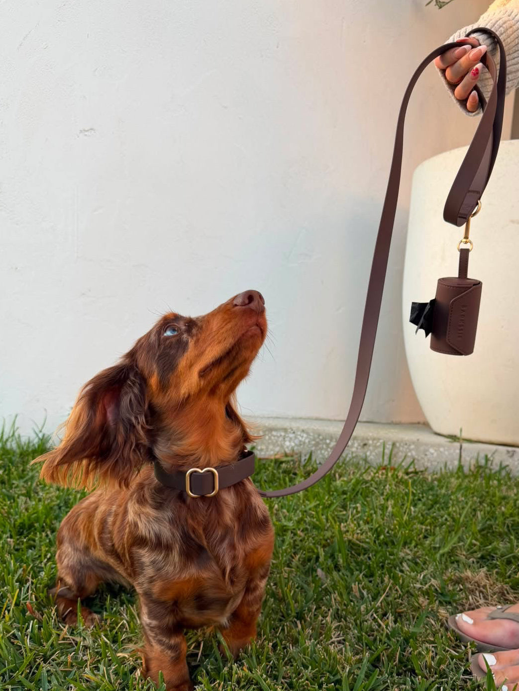Waterproof Collar Essential Set