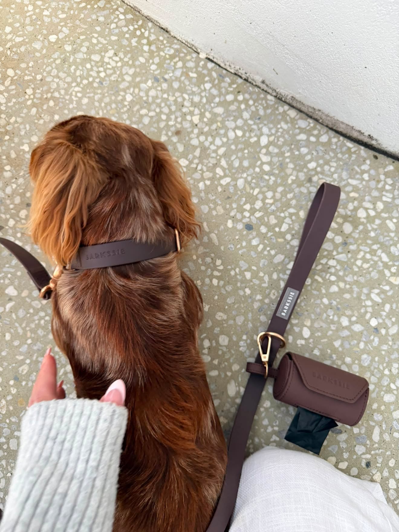 Waterproof Collar Essential Set
