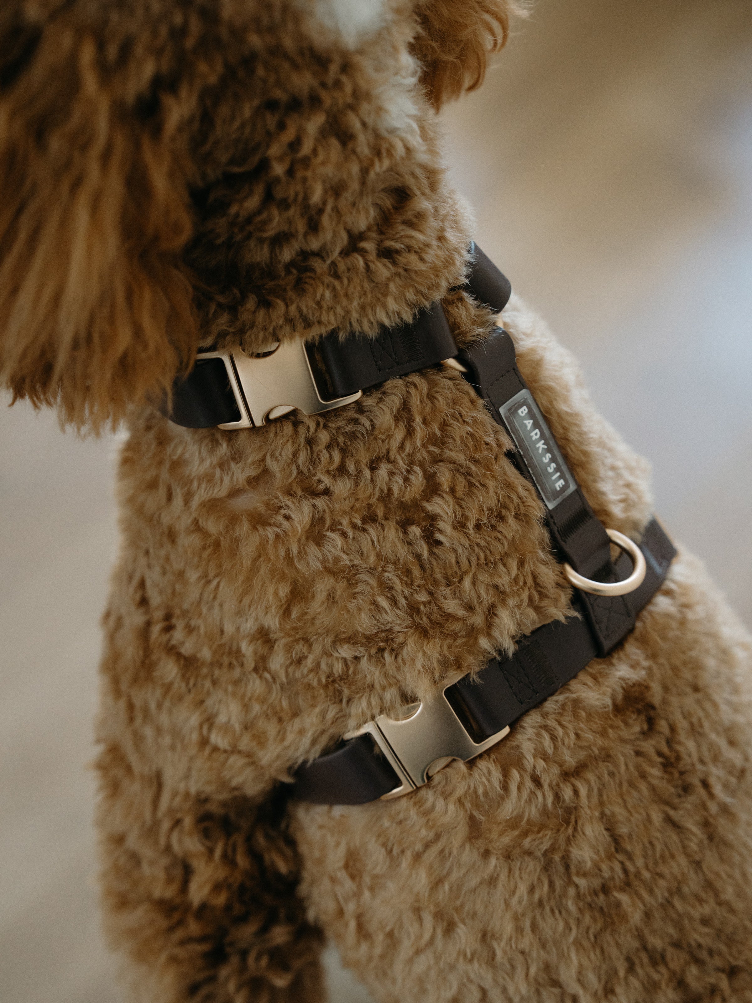 Easy-On Dog Harness - Coffee