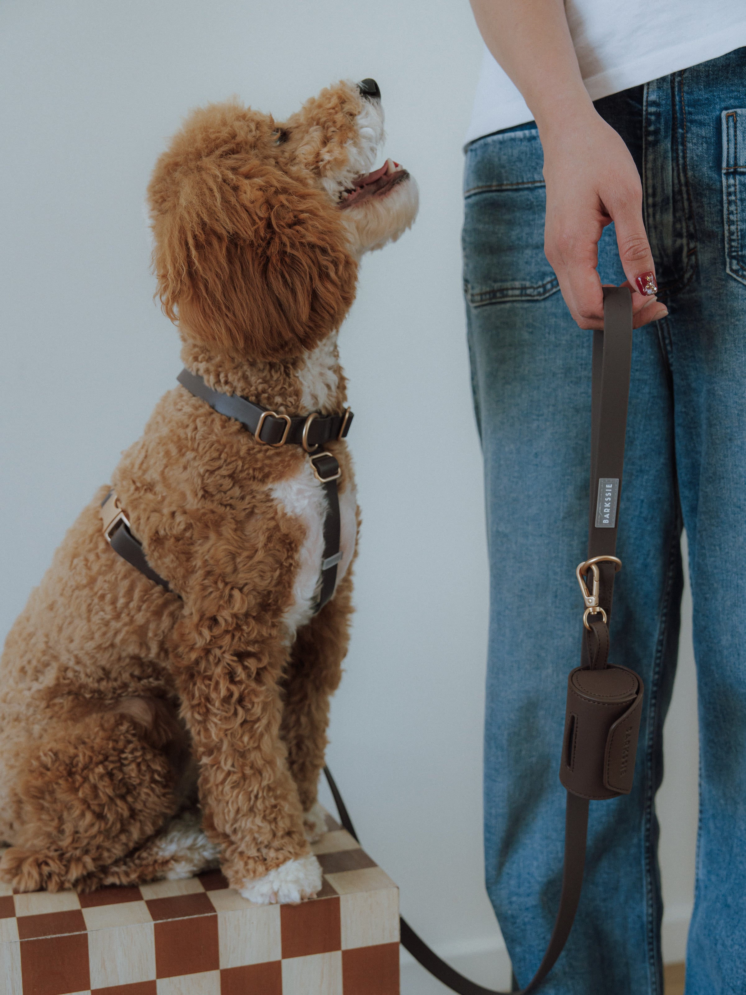Easy-On Dog Harness - Coffee