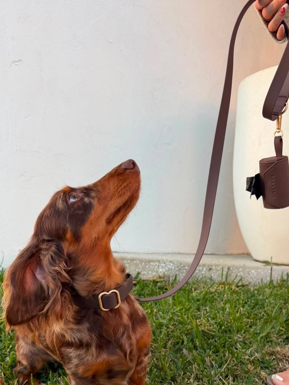 Waterproof Collar Essential Set