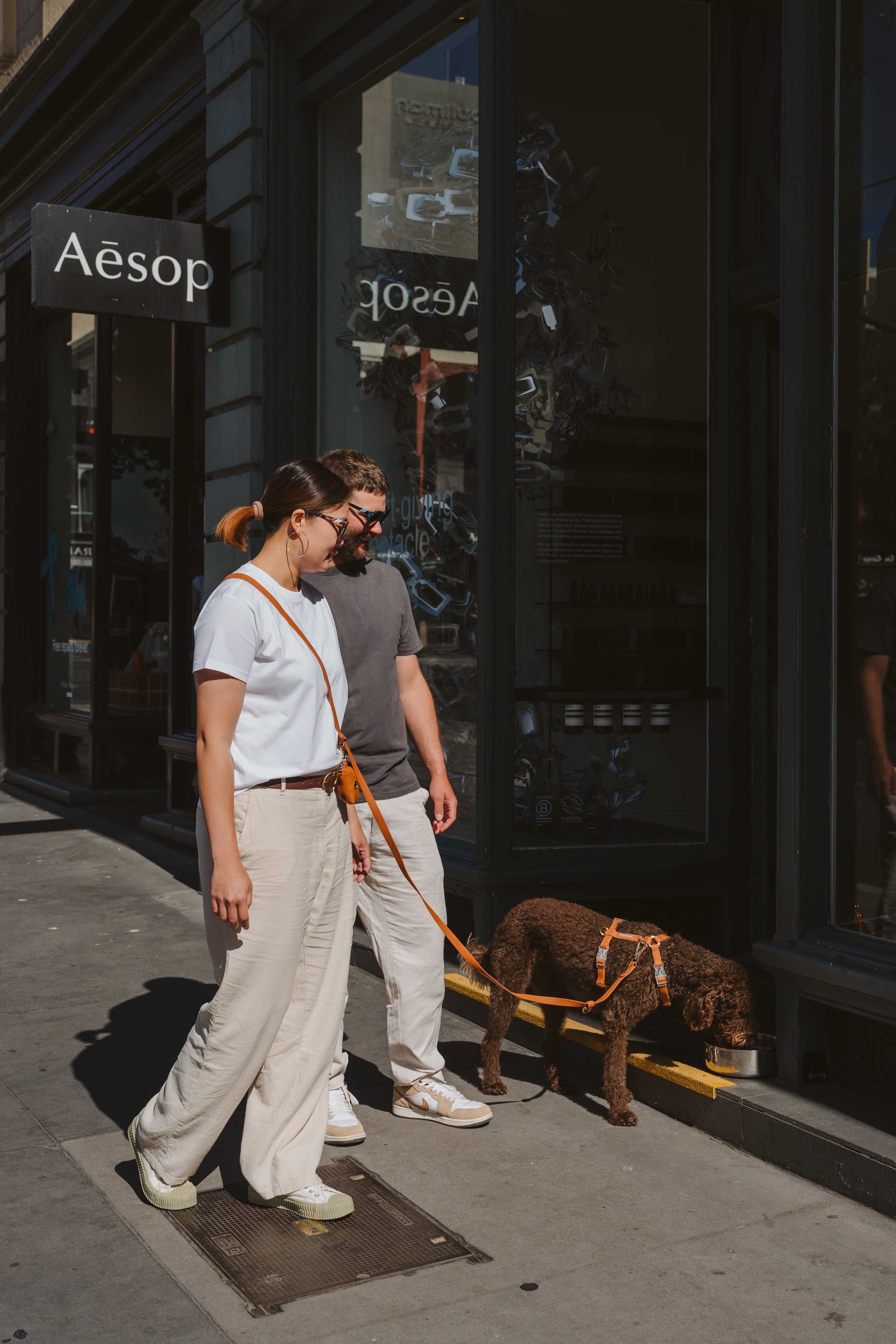 Hands-Free Lead – Brown