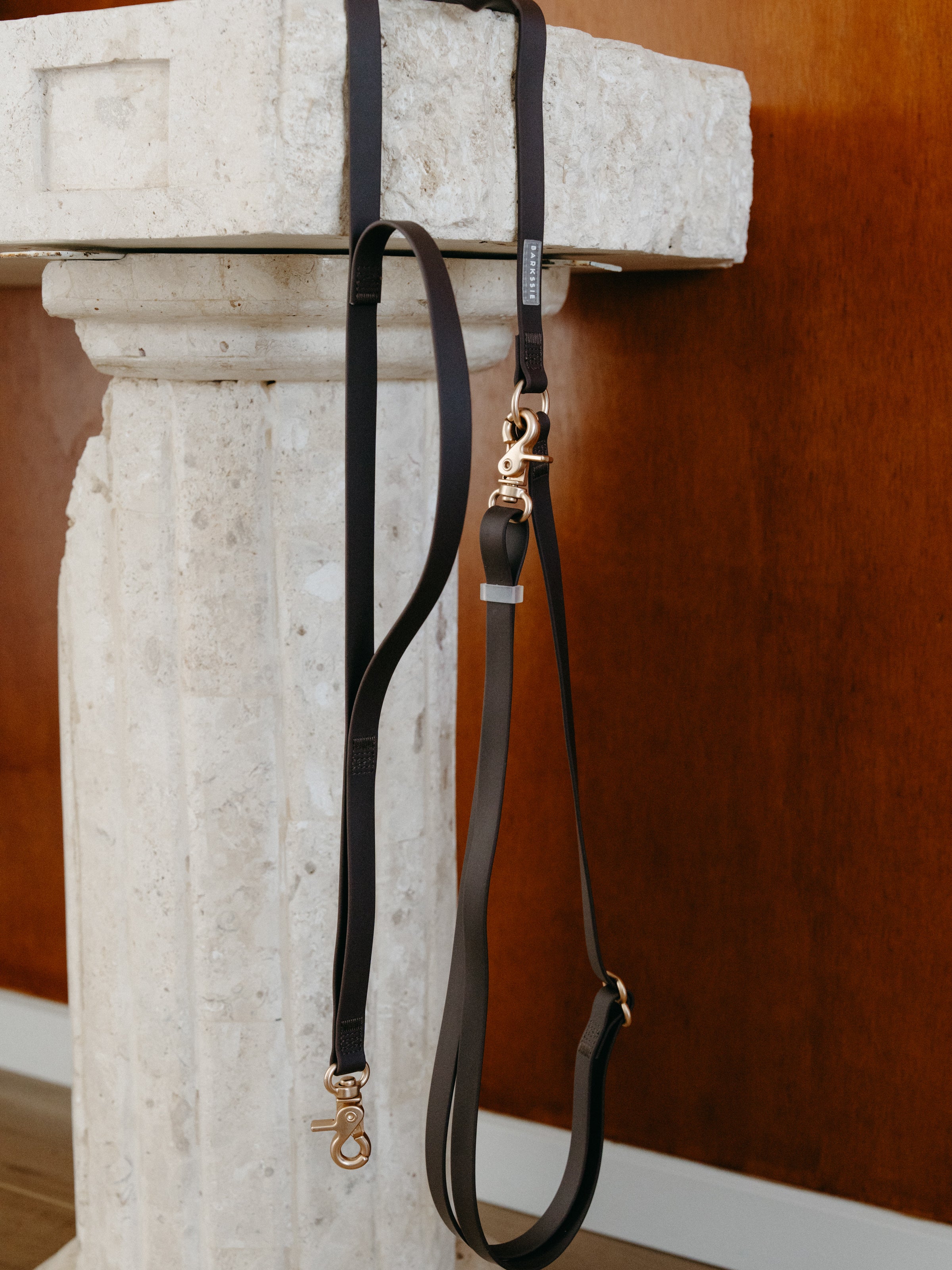 Everyday Hands-Free Lead - Coffee