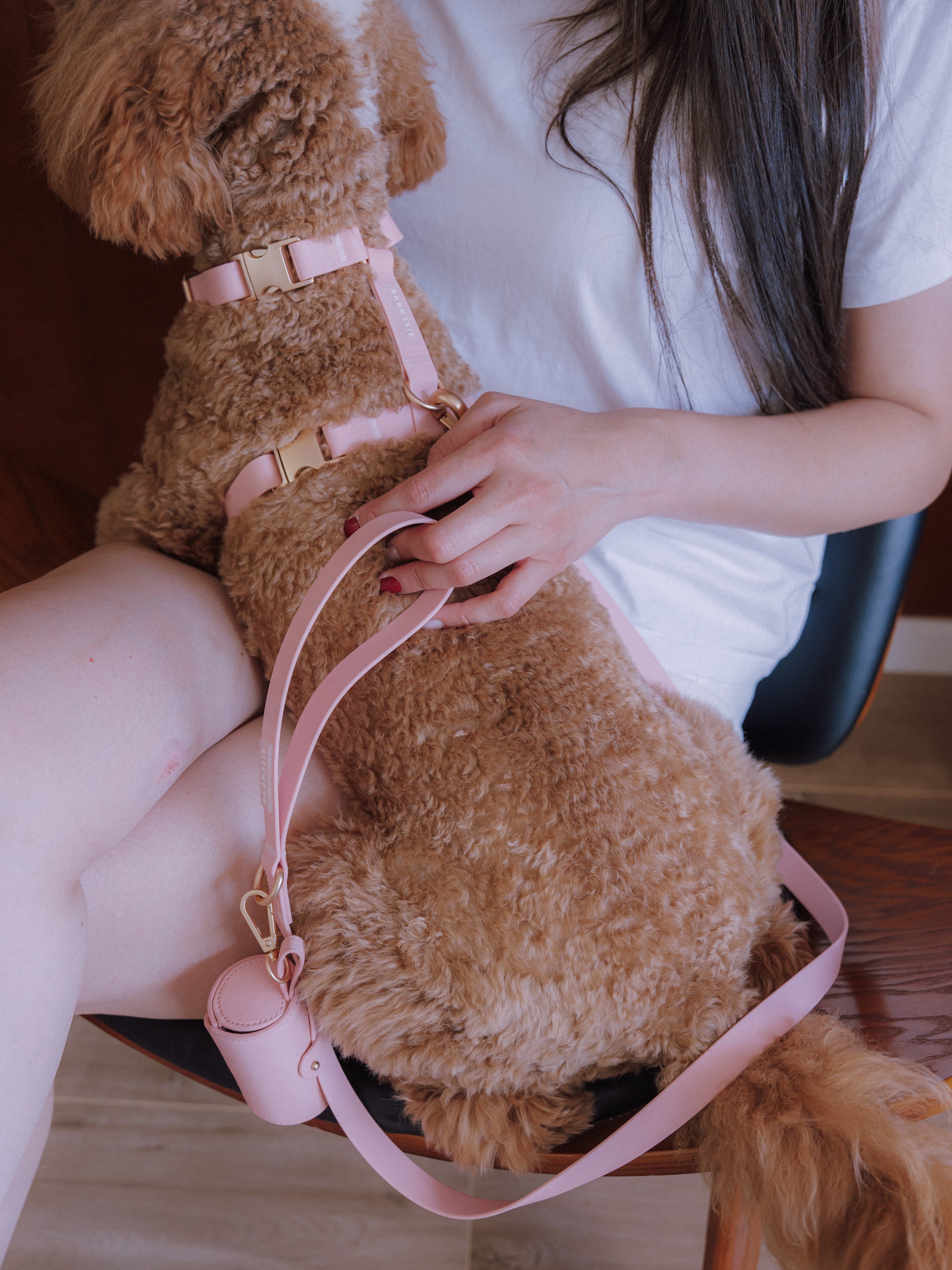 Walk Pouch - Blush