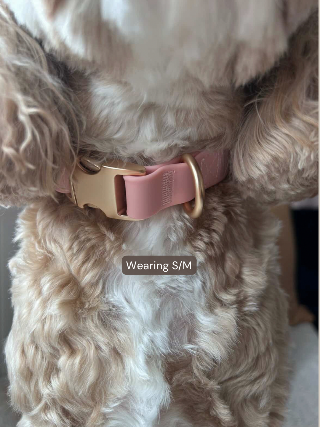 Everyday Collar - Blush