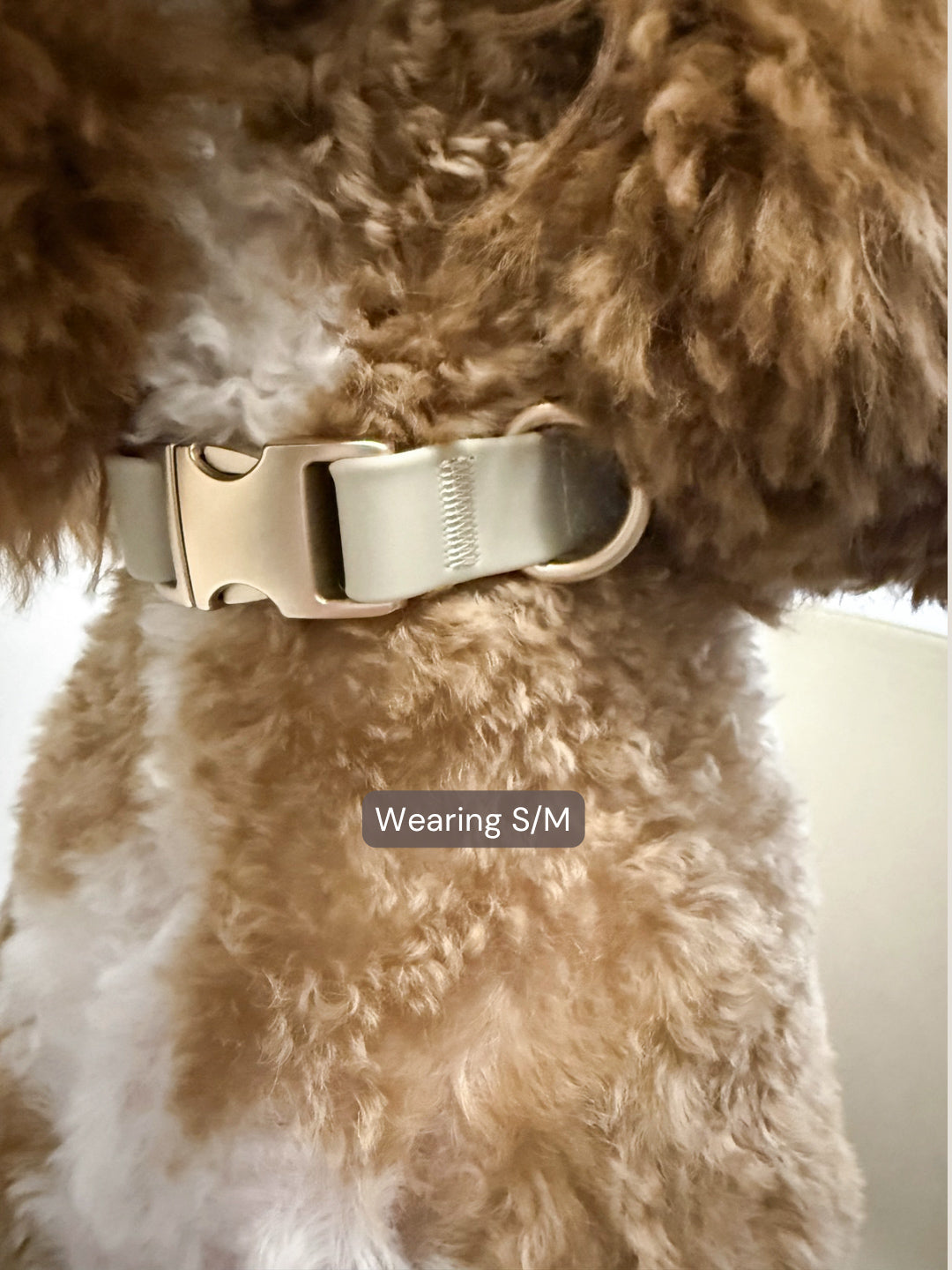 Everyday Collar - Taupe