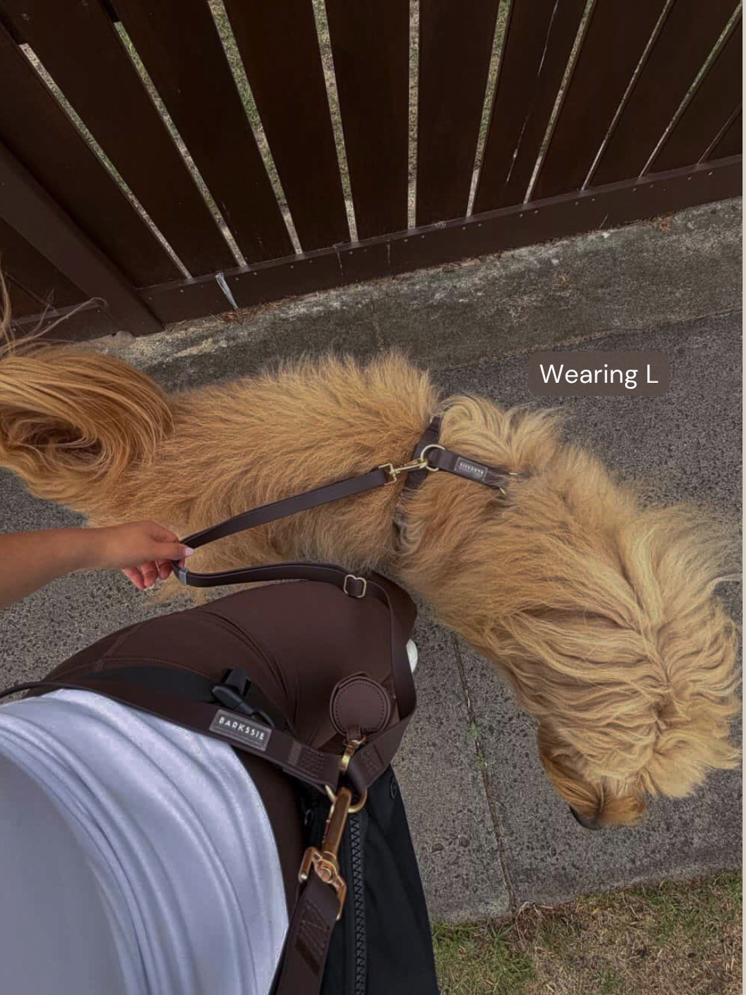 Easy-On Dog Harness - Coffee