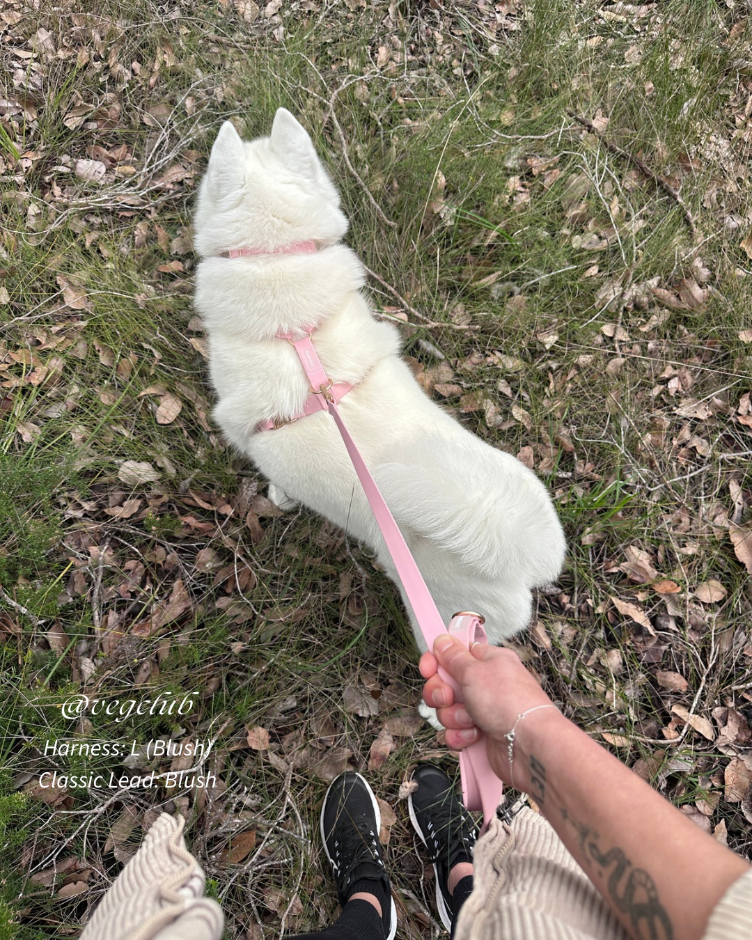 Easy-On Dog Harness - Blush