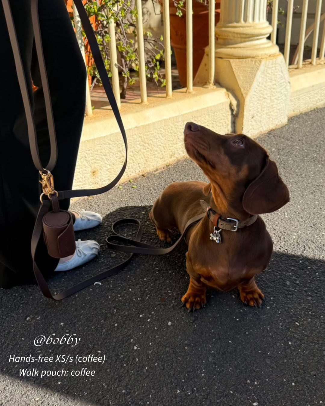 Everyday Hands-Free Lead - Coffee