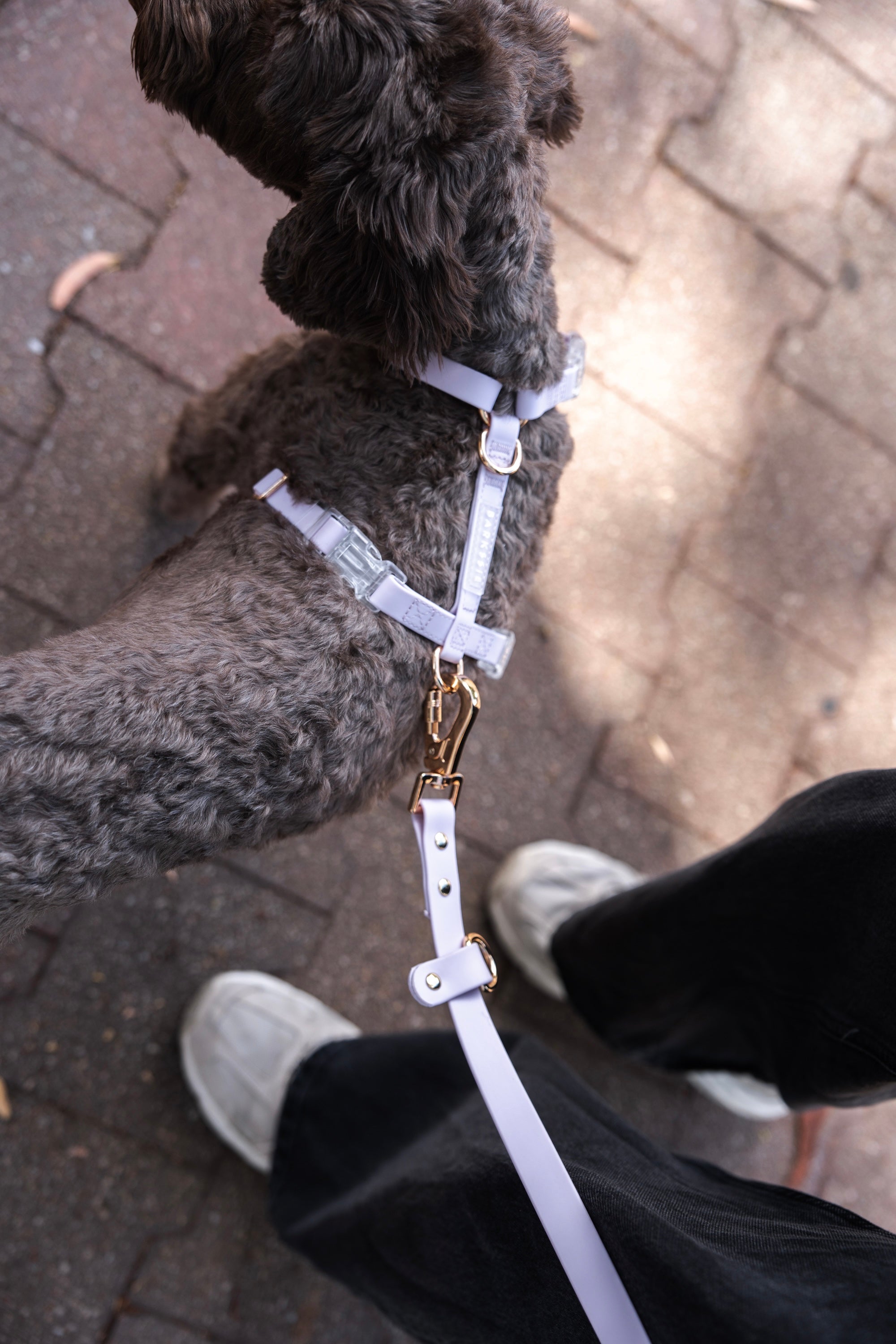 Hands-Free Lead – Soft Lilac