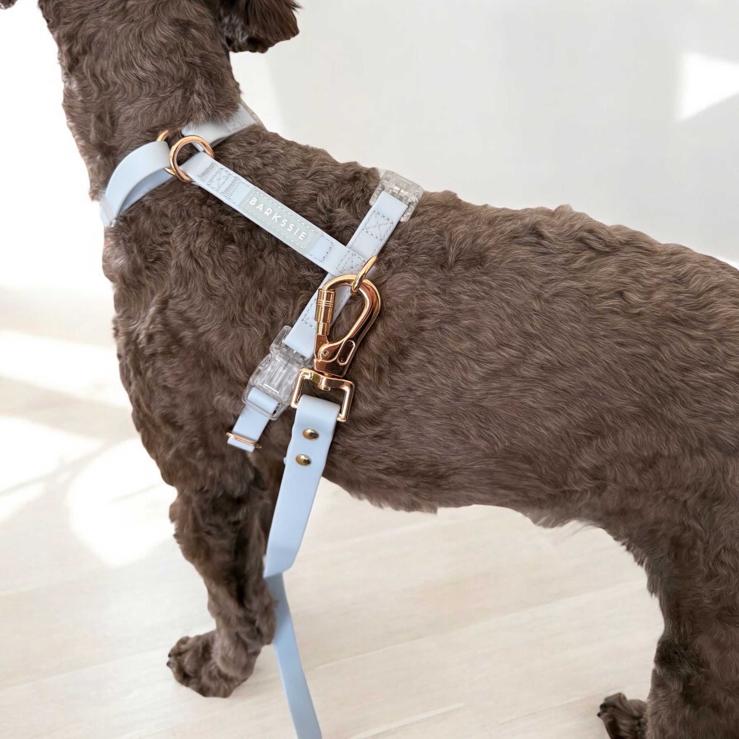 Hands-Free Lead – Skyline Blue